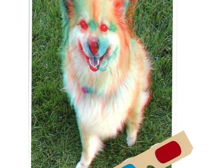 Akita - (Dog) Phantogram Greeting Card - with 3D Glasses - Image Pops Up from the Card - Unique 3D - NEW Online now