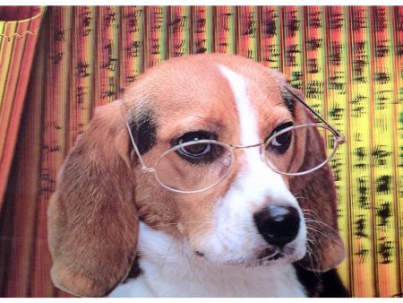 Beagle Dog in Glasses - 3D Lenticular Poster - 12x16 -  NEW Online Hot Sale