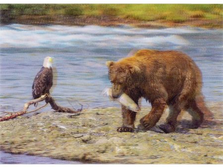 Brown Bear, Salmon and Eagle - 3D Lenticular Postcard Greeting Card - NEW Sale