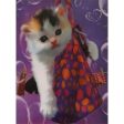 Kitten - 3D Lenticular Poster - 12x16 -  NEW For Discount