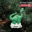 Dinosaur Fun Christmas Ornament on Sale