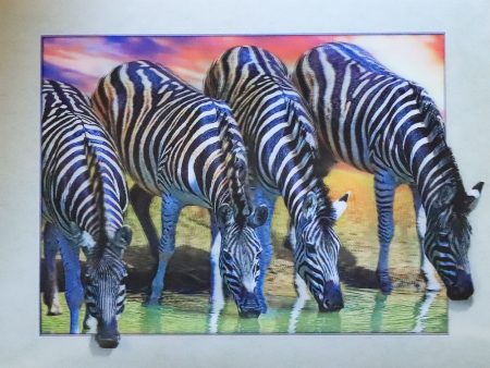 Zebras Drinking - 3D Lenticular Poster - 12x16 Print - New Supply