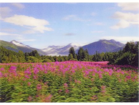 Mendenhall Glacier 2 - 3D Lenticular Postcard Greeting Card - NEW Hot on Sale