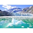 Surprise Glacier - Alaska - 3D Lenticular Postcard Greeting Card Supply