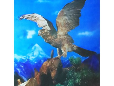 The Eagle - 3D Lenticular Poster - 12x16 - New Cheap