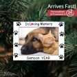 Pet RIP Picture Frame Christmas Ornament Fashion