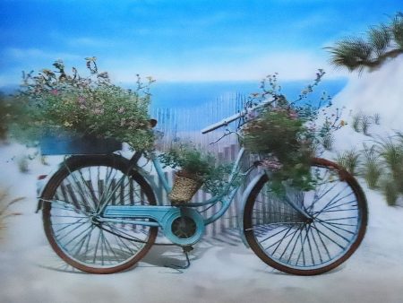 Bicycle on Beach - 3D Lenticular Poster - 12x16 Print - New Online Sale