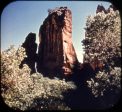 Zion National Park - View-Master Gold Center Reel - 141 - vintage Online