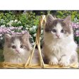 Two kittens inside a basket - 3D Lenticular Poster - 12x16 -  NEW Fashion