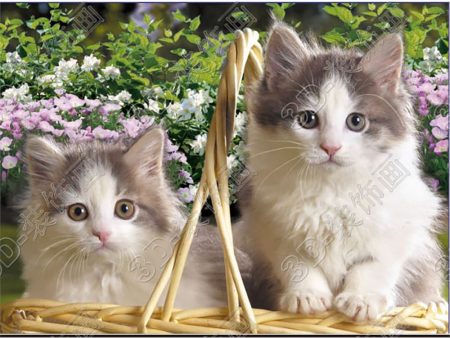 Two kittens inside a basket - 3D Lenticular Poster - 12x16 -  NEW Fashion