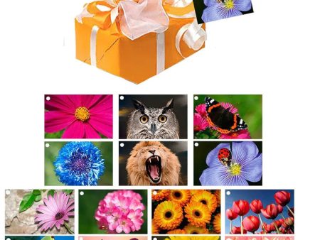 Gift Tags Combo - 14 Different Lenticular Gift Tags Cards - NEW BARGAIN PRICE For Cheap