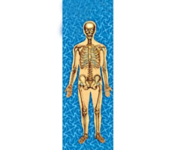 Man s Body Anatomical - 3D Animated Lenticular Bookmark - NEW For Sale